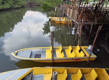 indonesia/riau-islands/attraction/bintan-green-mangrove-tour-fireflies-night-tour