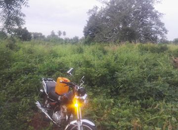 togo/agbodrafo/attraction/ziogba-zioto