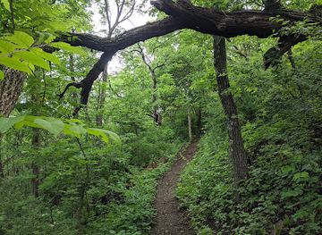 wisconsin/ice-age-trail/attraction/ice-age-trail-cross-plains-segment