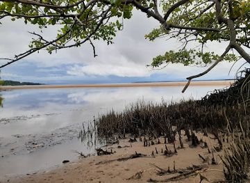 suriname/albina/attraction/urusji-lodge