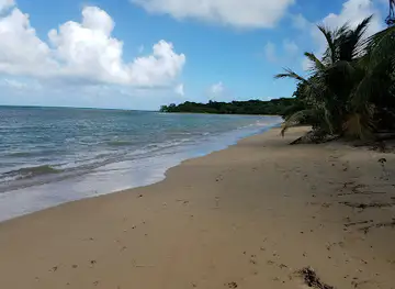 Parque de la Ceiba de Vieques Reserva Natural