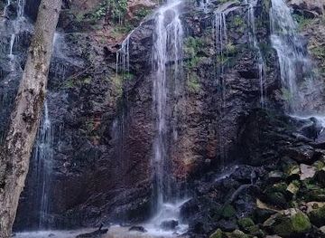 spain/oviedo/attraction/ruta-cascadas-de-guanga