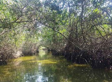 peru/tumbes/attraction/manglares-de-puerto-pizarro