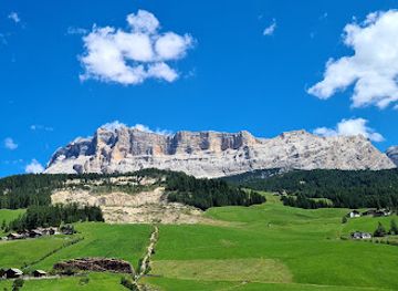 italy/alta-badia/attraction/parco-cervi-sompunt-alta-badia