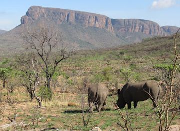 south-africa/bushveld/attraction/marakele-national-park