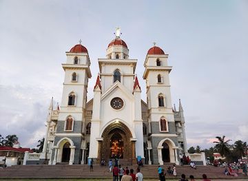 india/trivandrum/attraction/vettukadu-beach