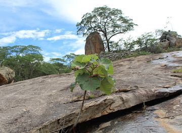 zimbabwe/mashonaland-central/attraction/umfurudzi