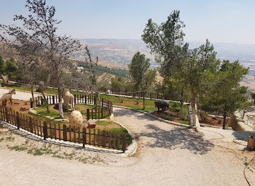 jordan/ajloun-forest-reserve/attraction/the-forest-park