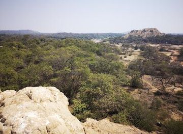 peru/chiclayo/attraction/bosque-de-pomac-historic-sanctuary
