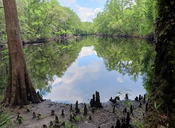 florida/santa-fe-river/attraction/river-rise