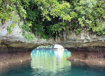 micronesia/koror/attraction/soft-coral-arch