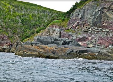 saint-pierre-and-miquelon/miquelon-langlade/attraction/demitour-saut-corde