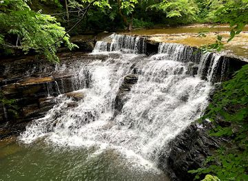 tennessee/fall-creek-falls-state-park/attraction/window-cliffs-state-natural-area