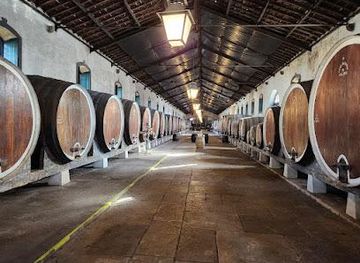 portugal/cascais/attraction/regional-de-colares-winery