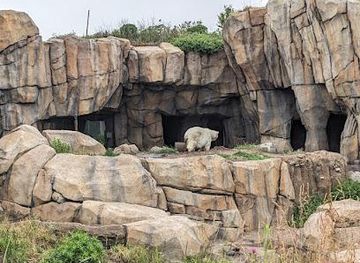 illinois/schaumburg/attraction/walter-family-arctic-tundra