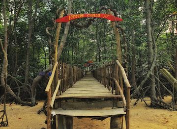 indonesia/riau/attraction/wisata-alam-mangrove-pandang-tak-jemu