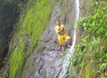 timor-leste/matebian-mountain/attraction/danapere