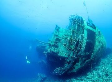 jordan/aqaba/attraction/cedar-pride