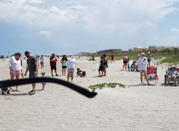 florida/cape-canaveral/attraction/peacock-beach