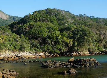 brazil/ilha-grande/attraction/monkey-island