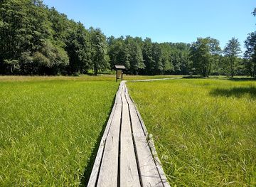 hungary/orseg-vendvidek/attraction/marshlands-of-szoce