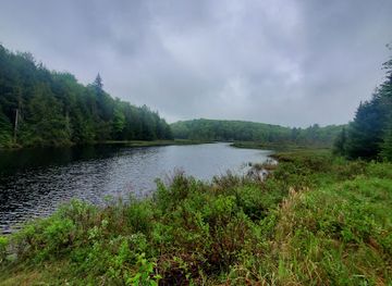 canada/haliburton-highlands/attraction/bigwind-lake-provincial-park