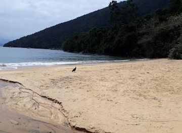 brazil/litoral-norte/attraction/beach-prison