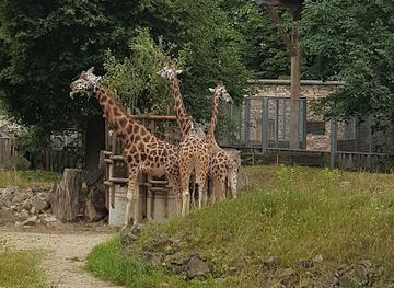 lithuania/kaunas/attraction/lithuanian-zoo