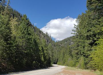 montana/bitterroot-national-forest/attraction/centennial-grove-trailhead-day-use-area