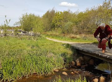 denmark/ribe/attraction/replika-af-kirke-fra-vikingetiden