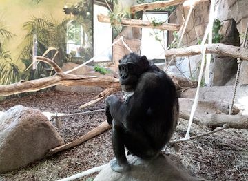 sweden/gastrikland/attraction/regnskogen