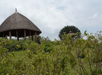 ethiopia/awasa/attraction/amora-gedel-park