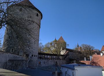 estonia/tallinn-old-town/attraction/carved-stone-museum