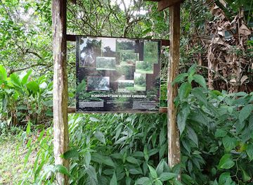 suriname/tafelberg-nature-reserve/attraction/neotropical-butterfly-park