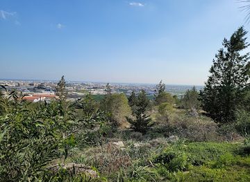 cyprus/troodos-national-forest-park/attraction/rizoelias