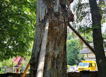 poland/gorce-mountains/attraction/wiaz-gorski-lokietek