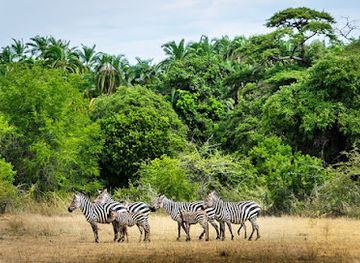 rwanda/muhazi-lake/attraction/k-travo