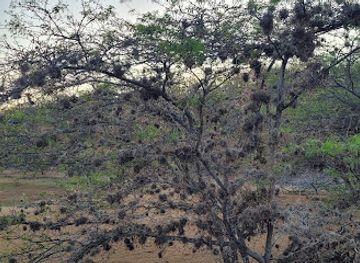 curacao/boca-hulu/attraction/boka-spanjo-and-playa-hulu