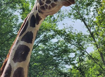 pennsylvania/susquehanna-valley/attraction/claws-n-paws-wild-animal-park
