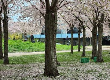 denmark/helsingor/landmark/langelinie-park