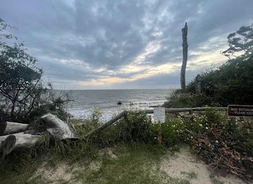 florida/northeast-florida/attraction/big-talbot-island-state-park