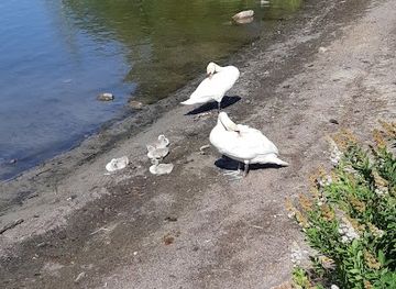 finland/helsinki-archipelago/attraction/tea-for-two-sculpture
