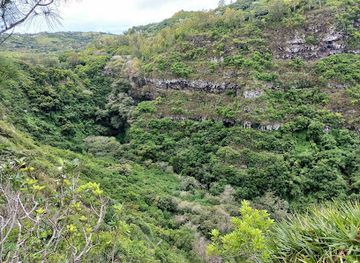 mauritius/rodrigues/attraction/cascade-victoire
