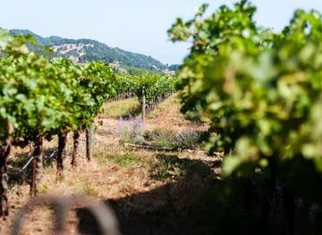 california/martinez/attraction/o-brien-estate-winery