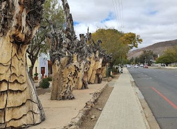 south-africa/route-62/attraction/fransie-pienaar-museum