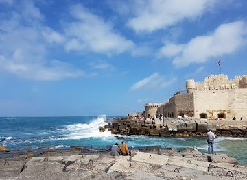 egypt/alexandria/attraction/alexandria-aquarium