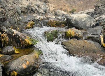 wadi jizi
