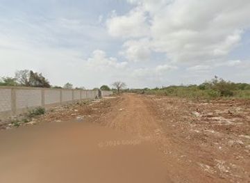 kenya/diani-beach/attraction/diani-wall-road-wall