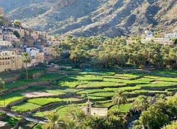 oman/muscat/attraction/oman-self-drive-tours