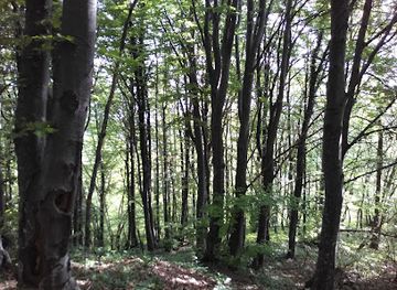 croatia/zumberak-mountains/attraction/pljovica-vrh